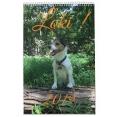 Kalender des Loki 2019 (Titelbild)