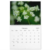 Kalender des Märchenland-2010 (Feb 2027)