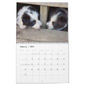 Kalender des Michigan-GrenzCollies-2012 (Feb 2027)