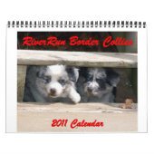 Kalender des Michigan-GrenzCollies-2012 (Titelbild)