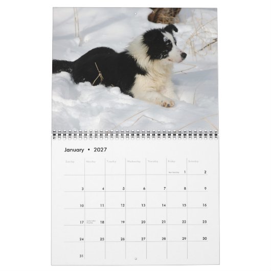 Kalender des Michigan-GrenzCollies-2012 (Jan 2027)