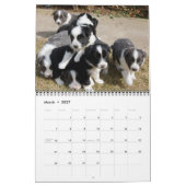 Kalender des Michigan-GrenzCollies-2012 (Mär 2027)