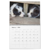 Kalender des Michigan-GrenzCollies-2012 (Feb 2026)