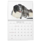 Kalender des RiverRun GrenzCollies-2012 (Feb 2027)