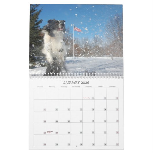 Kalender des RiverRun GrenzCollies-2012 (Jan 2026)