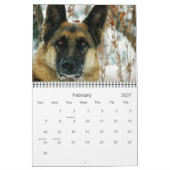 Kalender des Schäferhund-Hund2013 (Feb 2027)