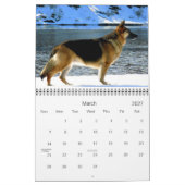 Kalender des Schäferhund-Hund2013 (Mär 2027)