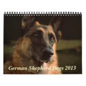 Kalender des Schäferhund-Hund2013 (Titelbild)