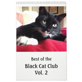 Kalender des schwarze Katzen-Verein-Vol. 2