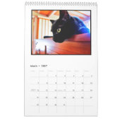 Kalender des schwarze Katzen-Verein-Vol. 2 (Mär 2027)