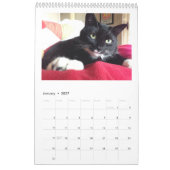 Kalender des schwarze Katzen-Verein-Vol. 2 (Jan 2027)