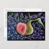 Kalender des Souls 37 Postkarte (Vorne/Hinten)