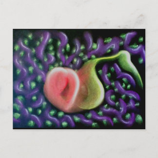 Kalender des Souls 37 Postkarte