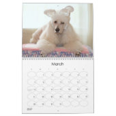 Kalender des Standardpudel-2011 (Mär 2027)