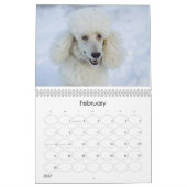 Kalender des Standardpudel-2011 (Feb 2027)
