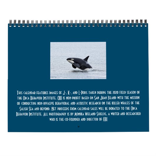 Kalender des südlichen Killerwals 2021 (Rückseite)
