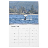 Kalender des südlichen Killerwals 2021 (Jan 2026)