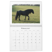 Kalender des Tal-Pony-2010 (Feb 2027)