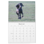 Kalender des Tal-Pony-2012 (Mär 2027)