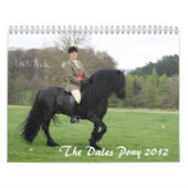 Kalender des Tal-Pony-2012 (Titelbild)
