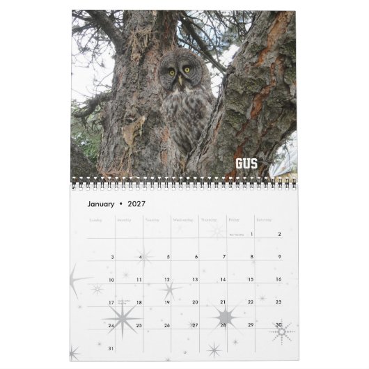 Kalender des WSU Raubvogel-Verein-2012 (Jan 2027)