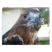 Kalender des WSU Raubvogel-Verein-2012 (Titelbild)