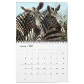 Kalender des Zebra 2011 (Jan 2027)