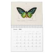 KALENDER: DIE KUNST DER NATURGESCHICHTE KALENDER (Jan 2026)