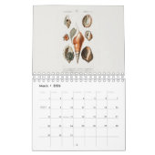 KALENDER: DIE KUNST DER NATURGESCHICHTE KALENDER (Mär 2026)