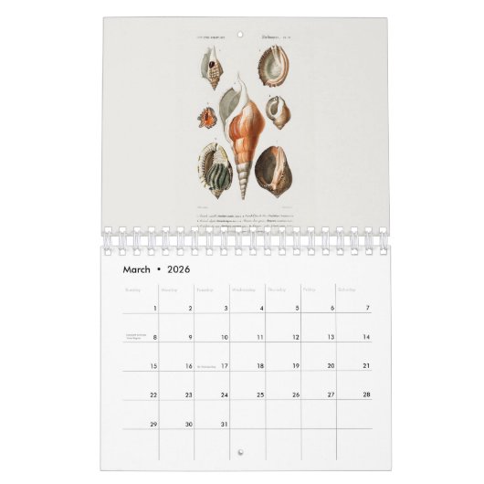 KALENDER: DIE KUNST DER NATURGESCHICHTE KALENDER (Mär 2026)