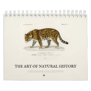 KALENDER: DIE KUNST DER NATURGESCHICHTE KALENDER