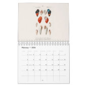 KALENDER: DIE KUNST DER NATURGESCHICHTE KALENDER (Feb 2026)