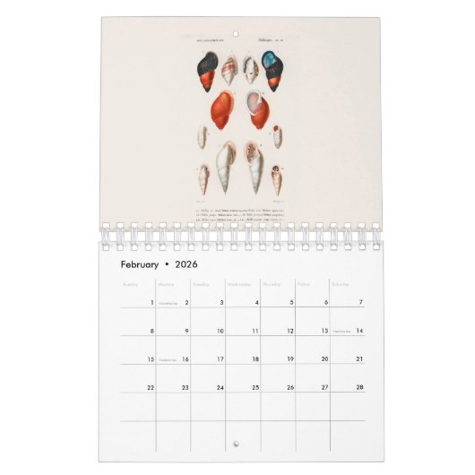 KALENDER: DIE KUNST DER NATURGESCHICHTE KALENDER (Feb 2026)