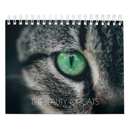 KALENDER "DIE SCHÖNHEIT DER KATZEN" (Titelbild)