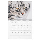 KALENDER "DIE SCHÖNHEIT DER KATZEN" (Feb 2026)