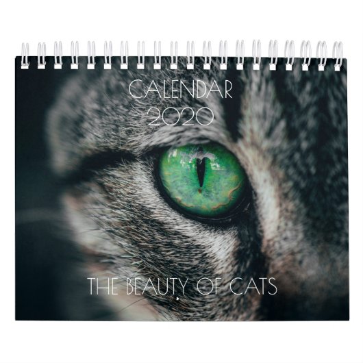 KALENDER "DIE SCHÖNHEIT DER KATZEN" (Titelbild)