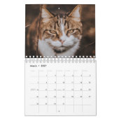 KALENDER "DIE SCHÖNHEIT DER KATZEN" (Mär 2027)