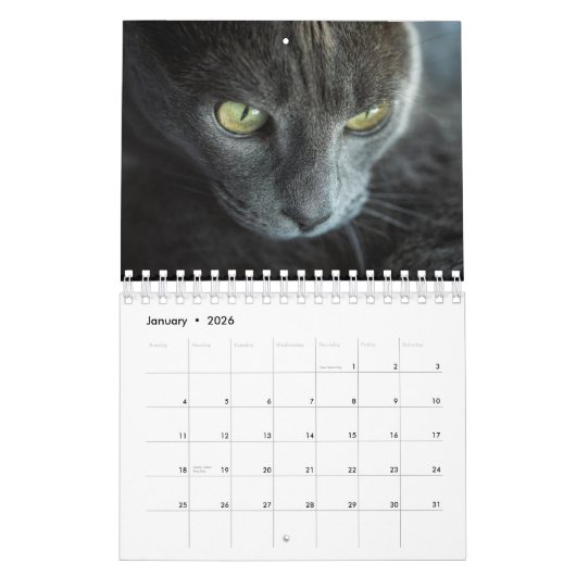 KALENDER "DIE SCHÖNHEIT DER KATZEN" (Jan 2026)