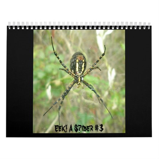 Kalender - Eek! A Spider #3 (Titelbild)