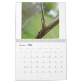 Kalender - Eek! A Spider #3 (Jan 2026)