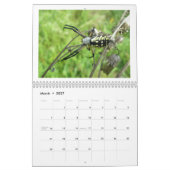 Kalender - Eek! A Spider #3 (Mär 2027)