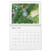 Kalender - Eek! A Spider #3 (Feb 2027)