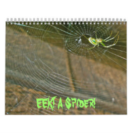 Kalender - EEK! Eine Spinne!