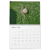 Kalender - EEK! Eine Spinne! (Feb 2027)