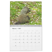 Kalender - Eichhörnchen Chipmunks Groundhogs (Feb 2027)