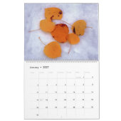 Kalender "Ein Jahr der Herbstfarben" (Jan 2027)