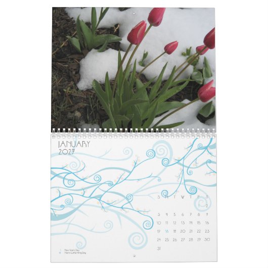 KALENDER: EIN JAHR IM LEBEN KALENDER (Jan 2027)