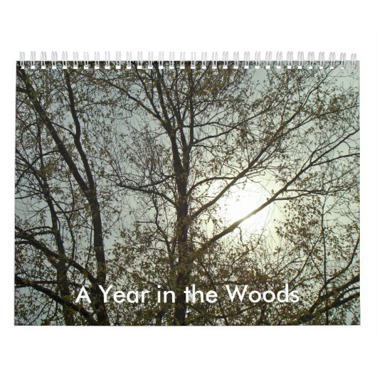 Kalender - Ein Jahr im Wald (Titelbild)