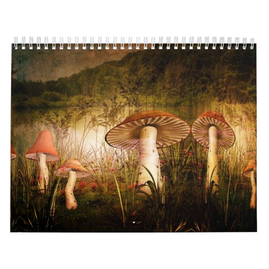 Kalender-EIn Touch von Magie Kalender (Titelbild)