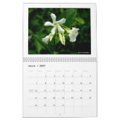 Kalender: Empfindliche Natur Kalender (Mär 2027)